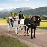 Horse Drawn Carriage Experience at Kaysville First Friday Festival