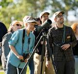 Family Christmas Bird Count