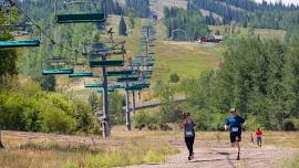 Snowmass Tree-O