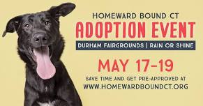 Homeward Bound CT Adoption Event at the Durham Fairgrounds