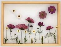 Pressed Flower Craft for Adults