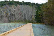 Earth Day Nature Walk with TVA at Marbut Bend Nature Trail