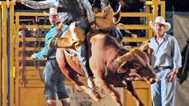 Limestone County Sheriff's Rodeo