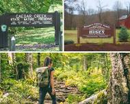 Hisey Park & Caesar Creek Gorge Hike