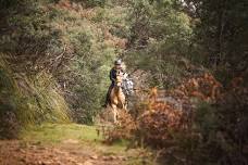 Explore Tasmania 3 day horse-riding trek