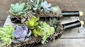 Wine Bottle Succulent Planter Workshop