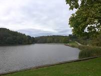 Guided Hike at Twin Lakes Park