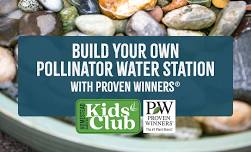 Make a Pollinator Watering Station