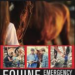 Equine Health & Emergency First Aid