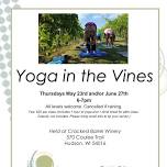 Yoga in the Vines