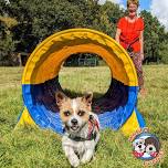 Canine Hoopers SILVER Course - Downs Meadow Stables (Dorking) — Happy Buddies