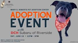 Adoption Event with DCH Subaru of Riverside