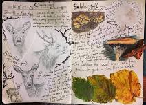 Nature Journals