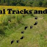 Animal Tracks and Signs