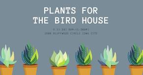 Plants for The Bird House