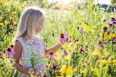 Flower Fairies Day at Grow Ability Farm