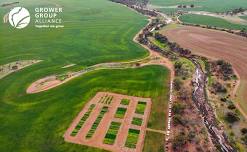 Mingenew Irwin Group Sandplain Field Day