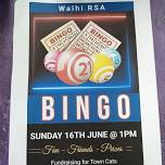 Bingo Afternoon for Waihi Town Cats