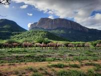 Natural beauty of Northern Kenya,despite of it's drien