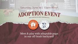 Adoption Event Feat. Rocket City Rescue!