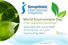 Free Vegetable Seedlings: A World Environment Day celebration