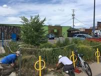 Rain Garden Clean Up