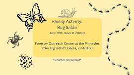 Family Activity: Bug Safari