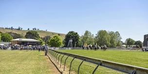 Gundagai Cup and Ladies Day