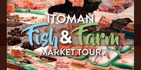 MCCS Okinawa Tours: Itoman Farm & Fish Market 2024