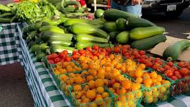 Chico Farmers Market