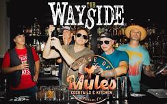 The Wayside Live @ House of Mules