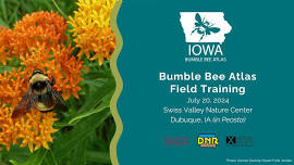 Iowa Bumble Bee Atlas - Dubuque Field Training