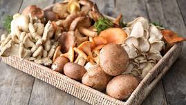 Superfood Spotlight: The Mighty Mushroom