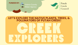 Creek Explorers- Esparto FREE (ages 5-11)