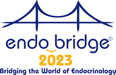 EndoBridge 2024