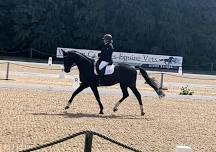 Open Dressage Competition