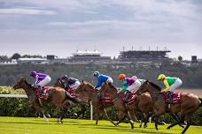 Qatar Goodwood Festival - Wednesday 31 July