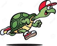 Turtle Trot 10K and 5K