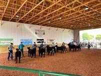 2024 Hancock County Cattle Invitational