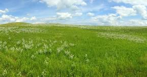 South Dakota Grasslands Summit