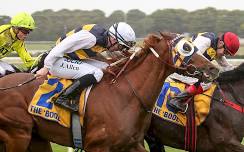 Warrnambool Cup — Prestige Global Events