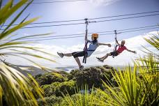 EcoZip Zipline and Forest Walk Experience