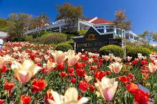 Mackinac Point Resort Garden Tours