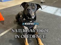 Saturday - Drop-in Obedience Class