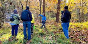 Walk in the Woods: Let's be Smart About Winter Salt