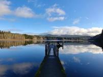 Social Hike: Lake Padden (dog friendly)