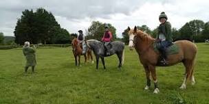 evening xc at Coxlake