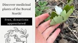 Medicinal Plant Walk