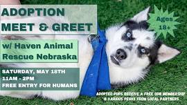 Adoption Meet & Greet w/ Haven Animal Rescue Nebraska at Omaha Dog Bar