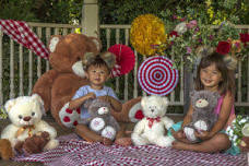 Teddy Bear Picnic 2024